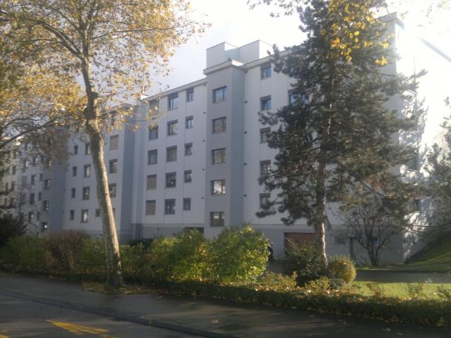 Apartment mieten in Schlieren, Bezirk Dietikon