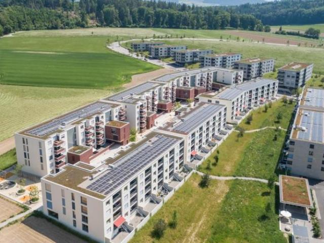 Apartment mieten in Niederwangen, Köniz