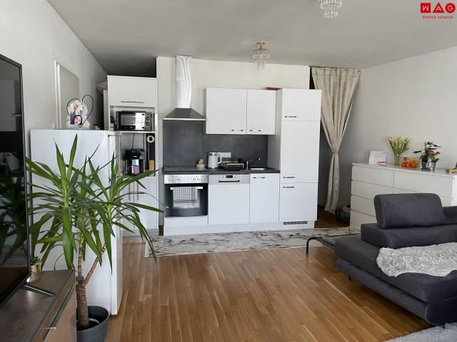 Apartment mieten in Katastralgemeinde Gries, Graz