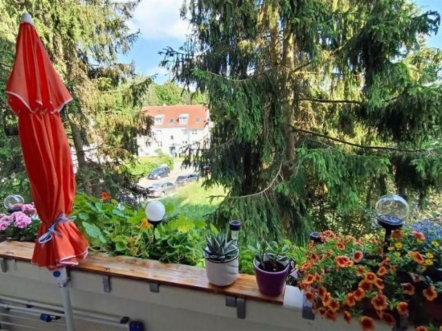Apartment mieten in Reichenbrand, Chemnitz