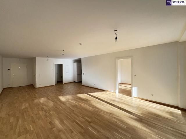 Apartment mieten in Donaustadt, Wien