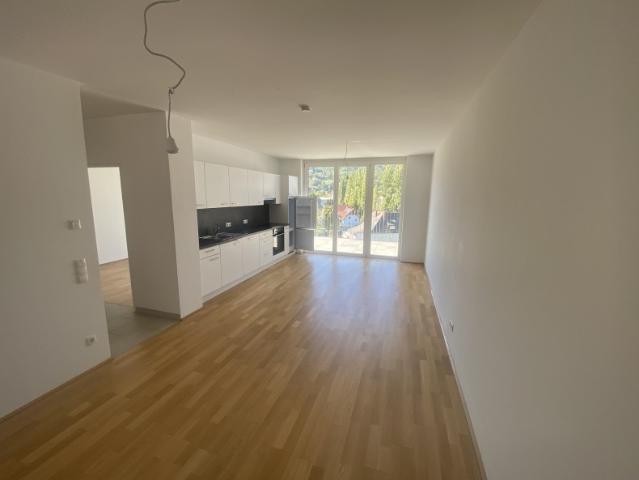 Apartment mieten in Katastralgemeinde Baierdorf, Graz