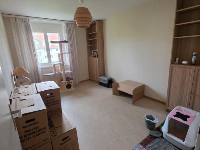 Apartment mieten in Wangen bei Olten, Amtei Olten-Gösgen