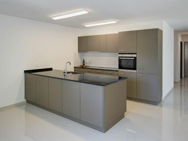 Apartment mieten in Richenthal, Reiden