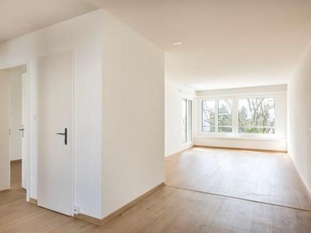 Apartment mieten in Glattbrugg, Opfikon