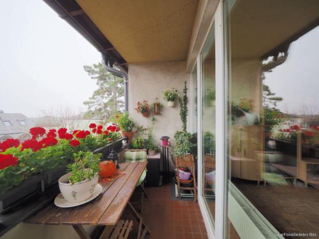 Wohnung kaufen in Brunn am Gebirge, Niederösterreich