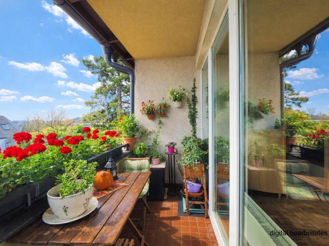 Apartment kaufen in Brunn am Gebirge, Niederösterreich