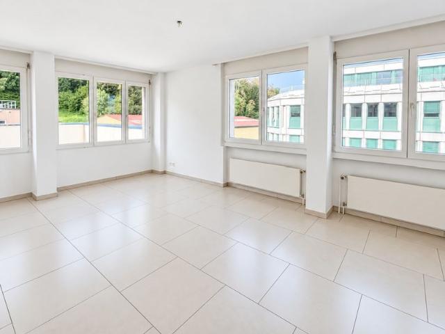 Apartment mieten in Pfaffhausen, Fällanden