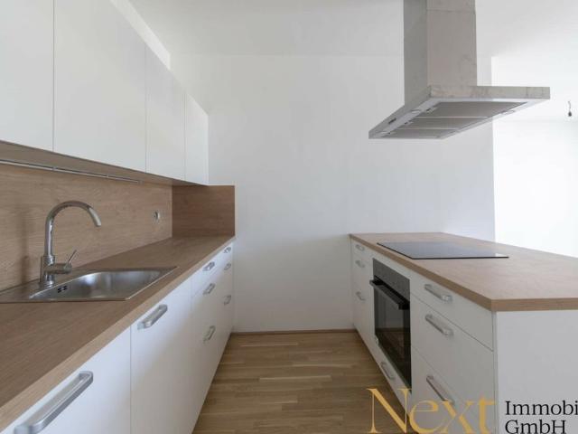 Apartment mieten in Altstadtviertel, Linz