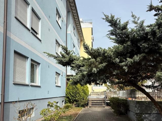Apartment mieten in Nollingen, Rheinfelden