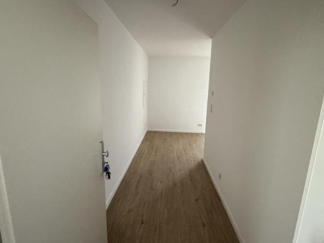 Wohnung mieten in Wald-Michelbach, Kreis Bergstraße