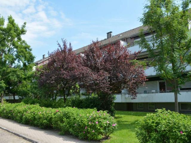 Wohnung kaufen in Reindorf, Buchholz in der Nordheide
