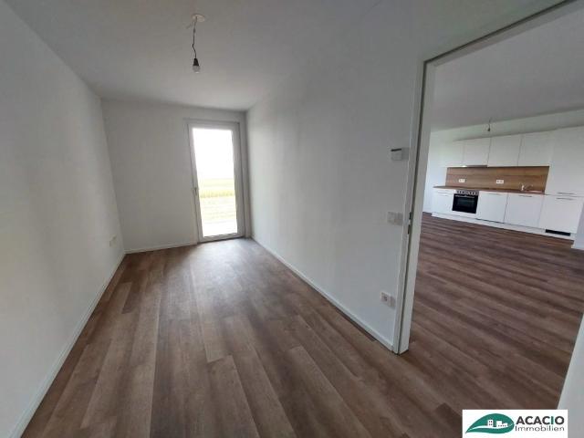 Apartment mieten in Gollarn, Sieghartskirchen