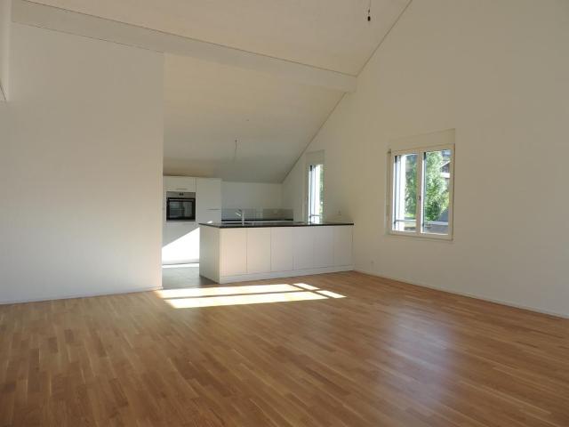 Apartment mieten in Dulliken, Amtei Olten-Gösgen