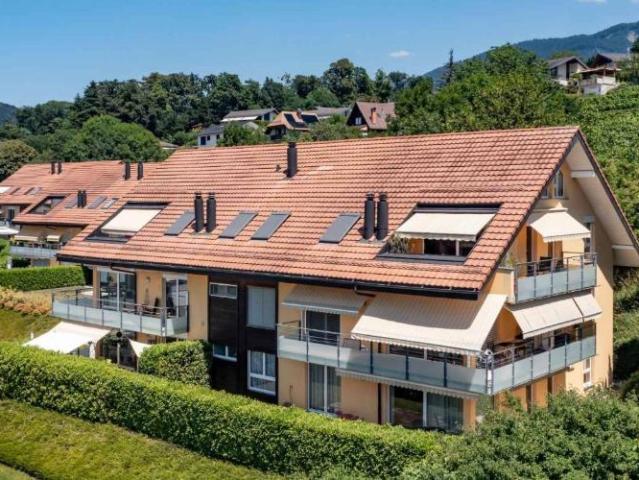 Wohnung mieten in Vevey, Waadt