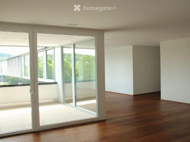 Apartment mieten in Sursee, Lü