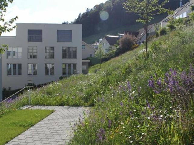 Wohnung mieten in Eggersriet, St. Gallen