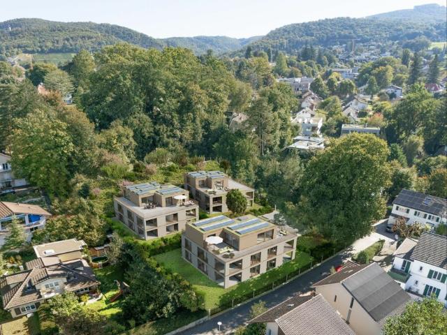 Wohnung kaufen in Arlesheim, Basel-Landschaft