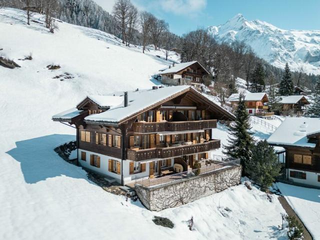 Immobilie kaufen in Grindelwald, Bern
