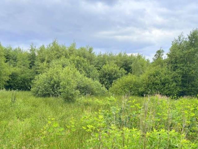 Erdgeschosswohnung kaufen in Edewecht, Landkreis Ammerland