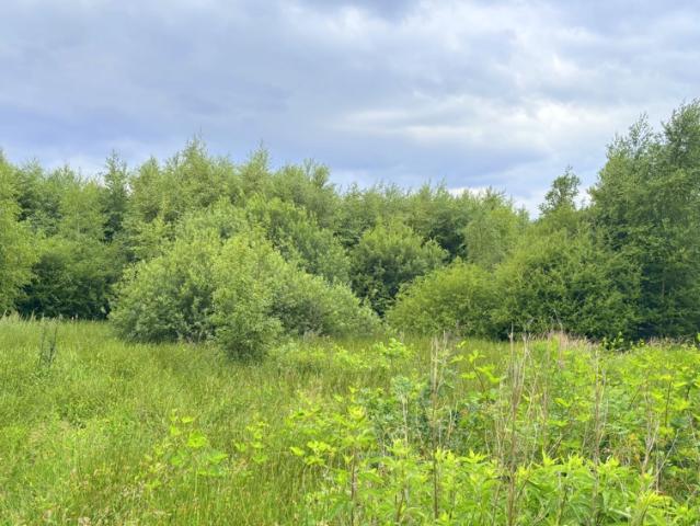 Landwirtschaft kaufen in Klein Scharrel, Edewecht