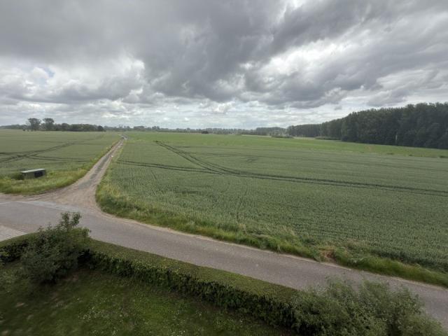 Apartment mieten in Büderich, Meerbusch