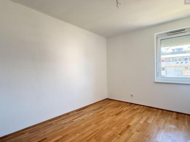 Wohnung mieten in Wiener Neustadt, Niederösterreich