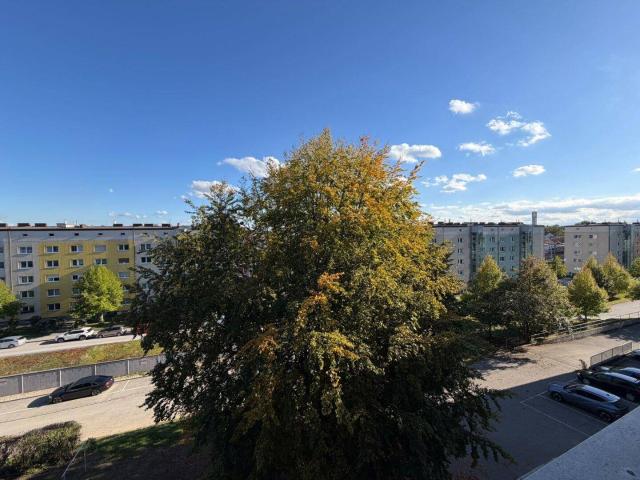 Apartment kaufen in Froschberg, Linz