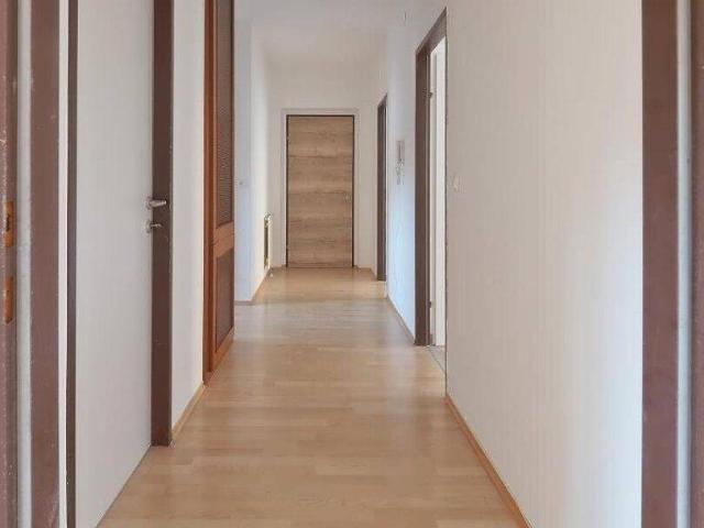 Apartment mieten in Lichtensternsiedlung, Wilhelmsburg
