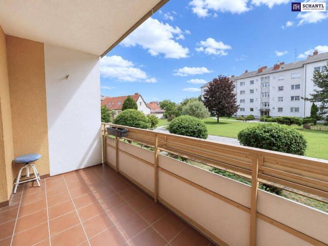 Apartment kaufen in Ebergassing, Niederösterreich