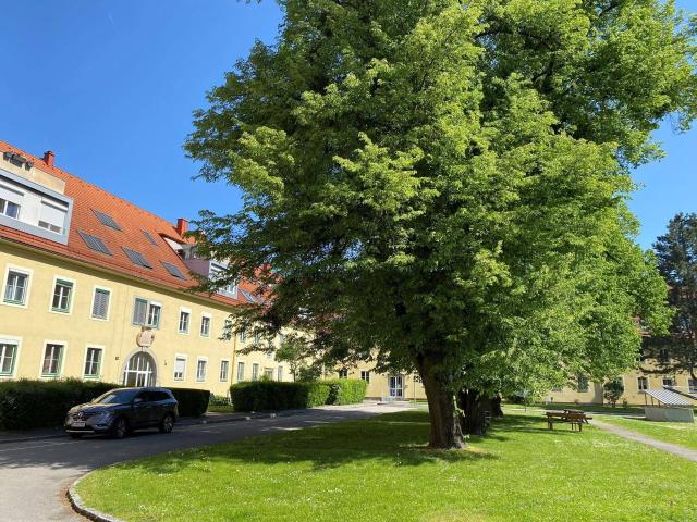 Apartment mieten in Linz