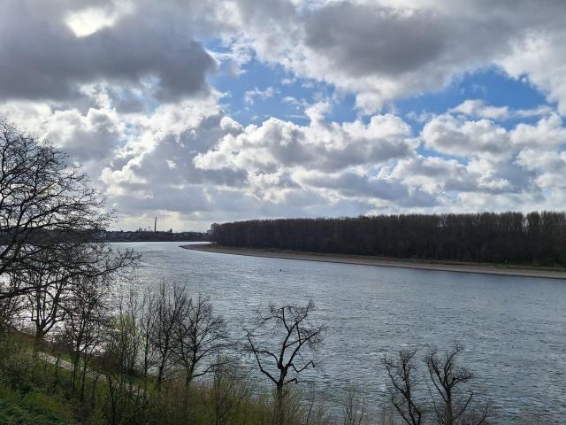 Wohnung mieten in Gremberghoven, Köln