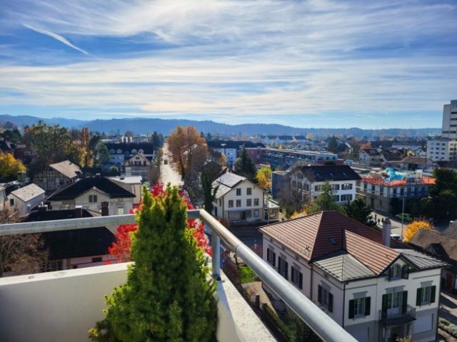 Wohnung kaufen in Herzogenbuchsee, Bern