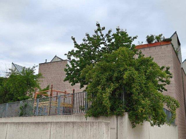 Apartment kaufen in Liesing, Wien