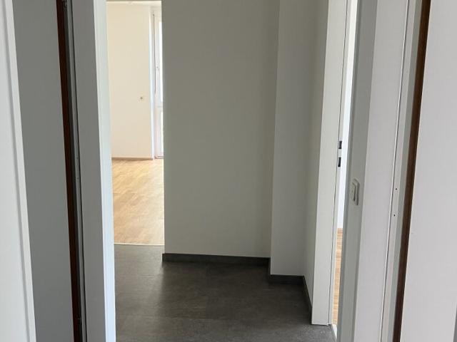 Wohnung kaufen in Judendorf-Straßengel, Kärnten