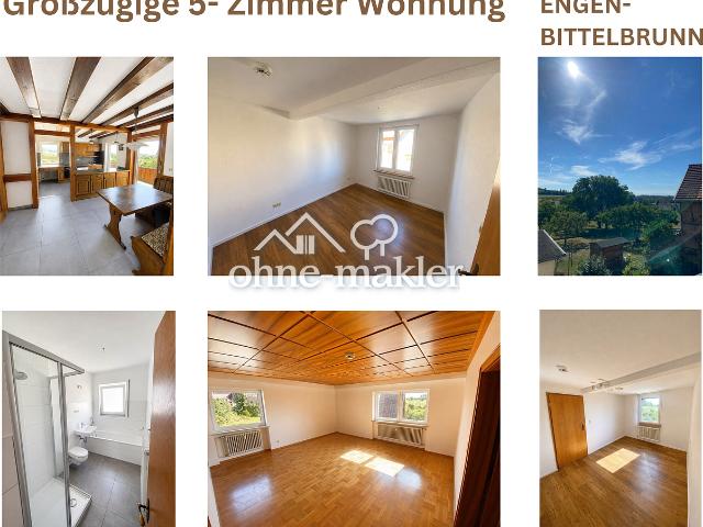 Apartment mieten in Anselfingen, Engen