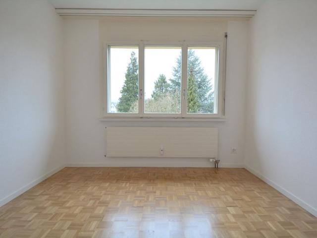 Apartment mieten in Dreibeinskreuz, Solothurn