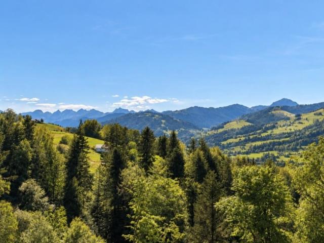 Einfamilienhaus kaufen in Ulisbach, Wattwil
