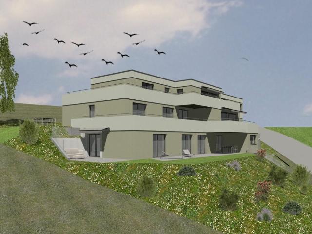 Terrassenwohnung kaufen in Zetzwil, Aargau