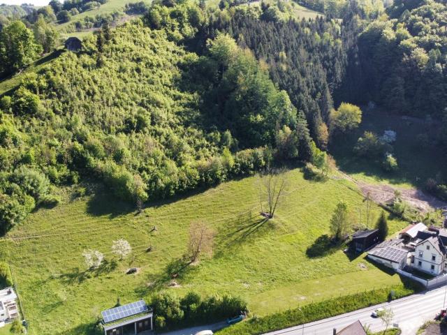 Grundstück kaufen in Losenstein, Oberösterreich