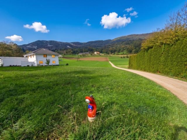 Grundstück kaufen in Aedermannsdorf, Amtei Thal-Gäu