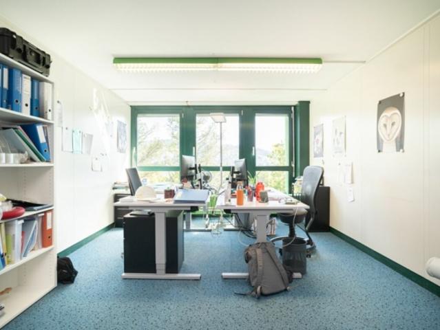 Büro mieten in Lü