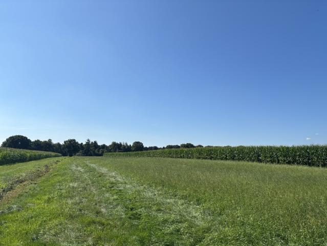 Landwirtschaft kaufen in Edewecht, Niedersachsen