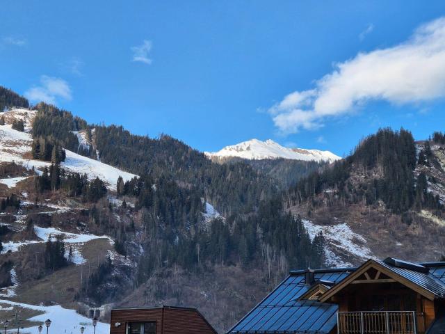 Apartment kaufen in Rauris