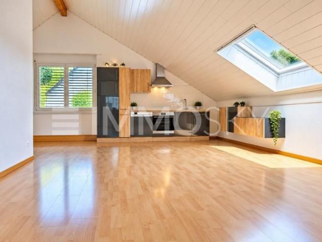 Apartment mieten in Umiken, Brugg