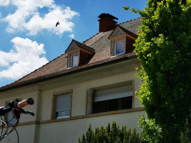 Doppelhaushälfte kaufen in Wörrstadt, Landkreis Alzey-Worms