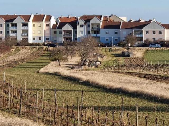 Wohnung kaufen in Rust, Burgenland