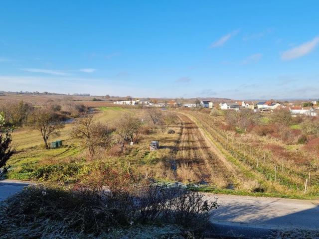 Wohnung kaufen in Rust, Burgenland