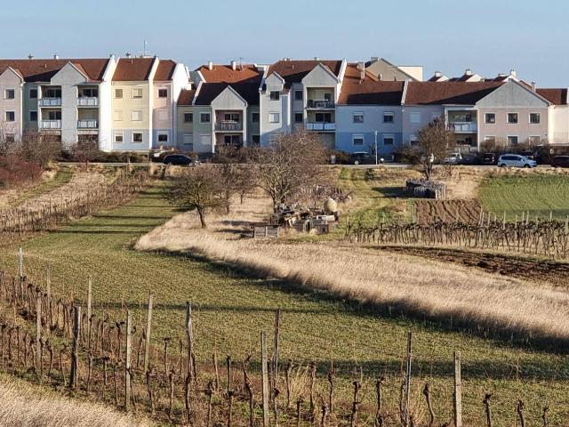 Apartment kaufen in Rust, Burgenland
