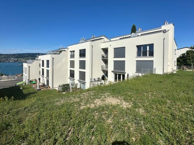 Wohnung mieten in Horgen, Zürich